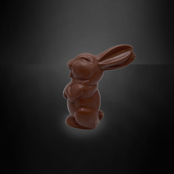 Afbeelding van Chocoladehaas klein
